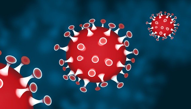 boosting your immune system against coronavirus