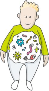 Your microbiome exerts a widespread effect on many areas of your health but what exactly does the microbiome do?